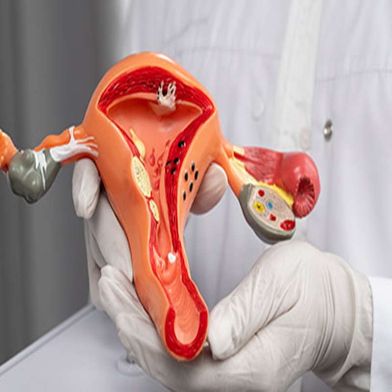 Cardiovascular Medicine