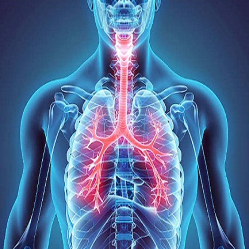 Neurological Sciences