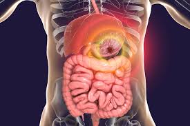 Gastroenterology Department